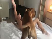Hardcore beastiality of a slut getting pleasured